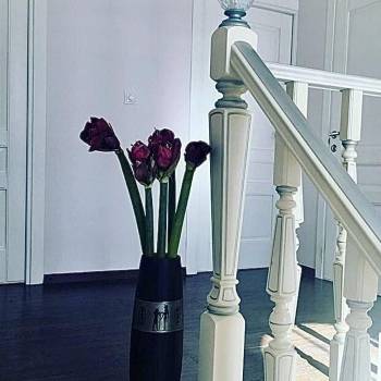 Сдается Комната, 25 м²