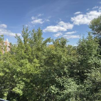 Сдается 2-х комнатная квартира, 56 м²