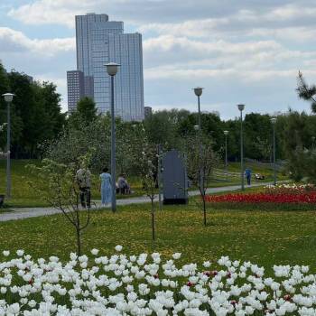 Продается 1-комнатная квартира, 25,4 м²