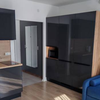 Сдается 1-комнатная квартира, 25,3 м²