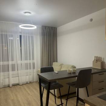 Сдается 1-комнатная квартира, 21,5 м²