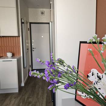 Сдается 1-комнатная квартира, 20,4 м²