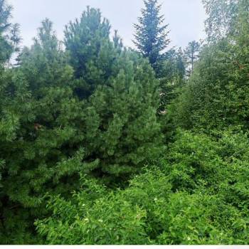 Продается Участок, 1000 м²