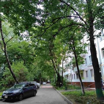 Сдается 2-х комнатная квартира, 45 м²