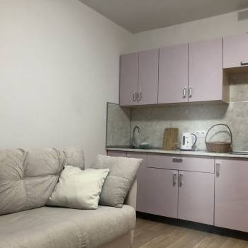 Сдается 1-комнатная квартира, 20,4 м²
