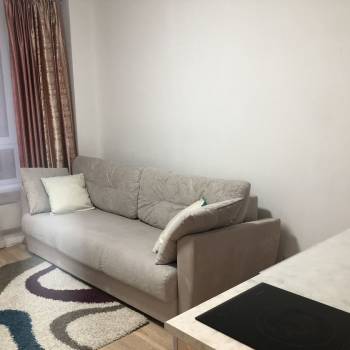 Сдается 1-комнатная квартира, 20,4 м²