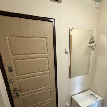 Продается 1-комнатная квартира, 28,9 м²