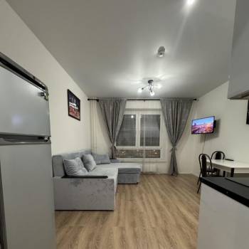 Сдается 1-комнатная квартира, 21,5 м²