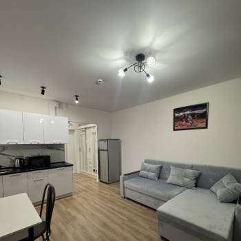 Сдается 1-комнатная квартира, 21,5 м²