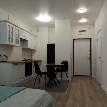Сдается 1-комнатная квартира, 23,1 м²