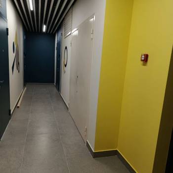 Сдается 1-комнатная квартира, 23,1 м²