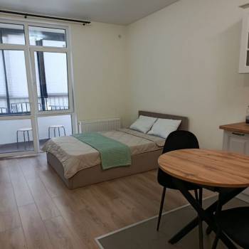 Сдается 1-комнатная квартира, 23,1 м²