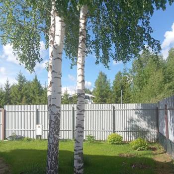 Продается Дом, 50 м²