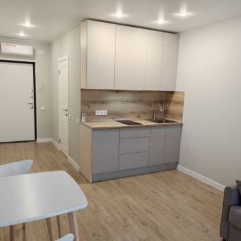 Сдается 1-комнатная квартира, 21,4 м²