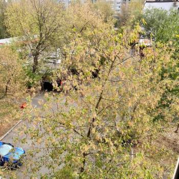Продается 1-комнатная квартира, 31,4 м²
