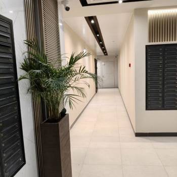 Сдается 1-комнатная квартира, 22 м²