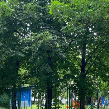 Продается 2-х комнатная квартира, 54,4 м²