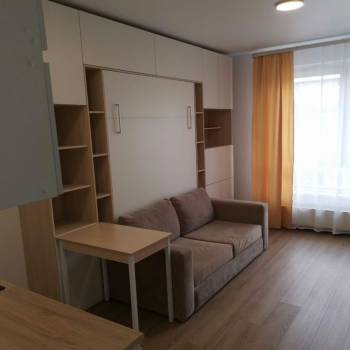 Сдается 1-комнатная квартира, 23,6 м²