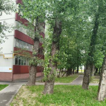 Продается 1-комнатная квартира, 32,9 м²