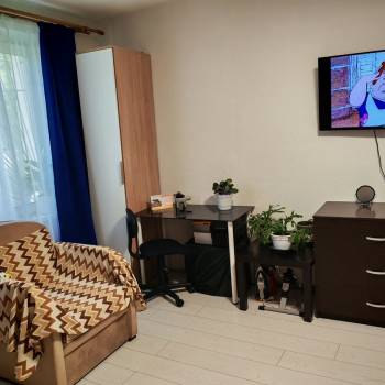 Продается 1-комнатная квартира, 31,8 м²