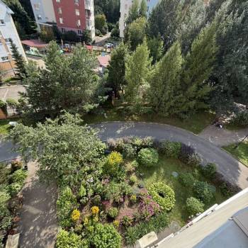 Сдается 1-комнатная квартира, 58,8 м²