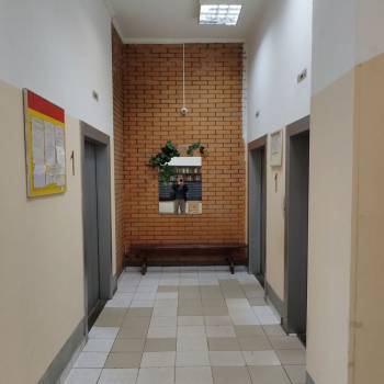Сдается 1-комнатная квартира, 50 м²