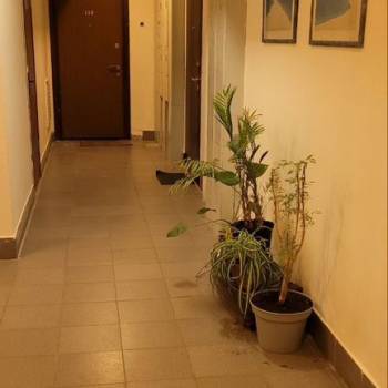 Сдается 2-х комнатная квартира, 56,5 м²
