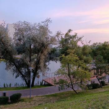 Сдается Комната, 17 м²