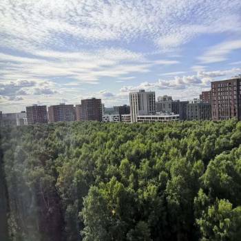 Сдается Многокомнатная квартира, 75 м²