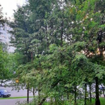 Продается 3-х комнатная квартира, 51,5 м²