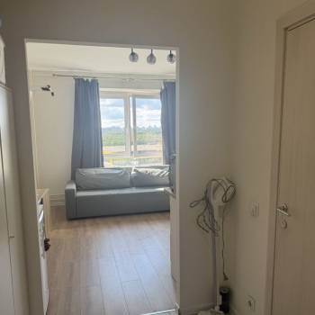 Сдается 1-комнатная квартира, 23,6 м²