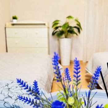Сдается 2-х комнатная квартира, 50 м²