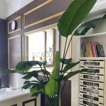 Продается 1-комнатная квартира, 33,5 м²