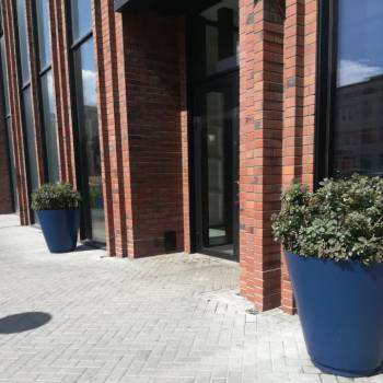 Сдается 2-х комнатная квартира, 41 м²