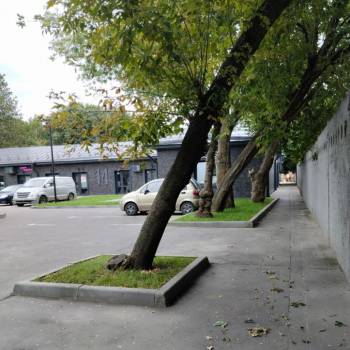 Сдается Комната, 13 м²