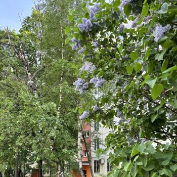 Продается 1-комнатная квартира, 32,8 м²