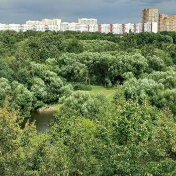 Сдается 2-х комнатная квартира, 44,8 м²