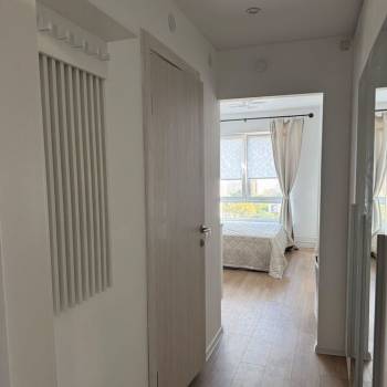 Сдается 1-комнатная квартира, 19,3 м²