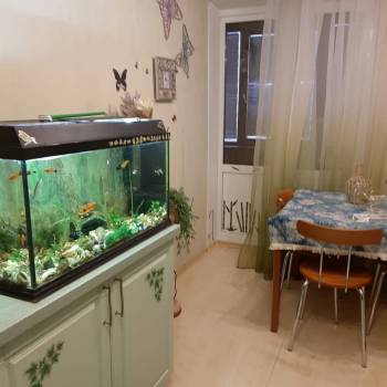 Сдается 2-х комнатная квартира, 60 м²