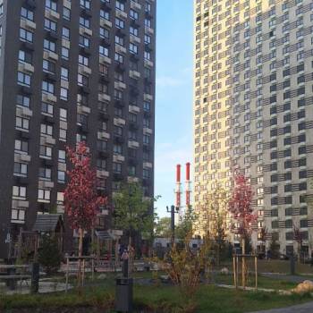 Сдается 2-х комнатная квартира, 48 м²