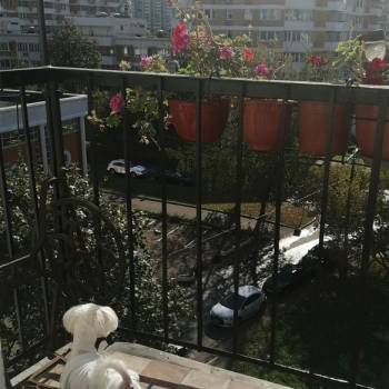 Сдается 2-х комнатная квартира, 37 м²