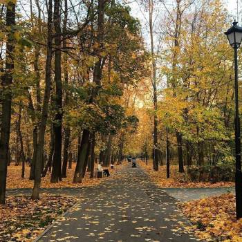 Сдается Комната, 20 м²