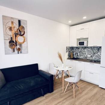 Сдается 1-комнатная квартира, 21,5 м²