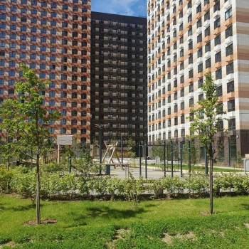 Сдается 1-комнатная квартира, 21,5 м²