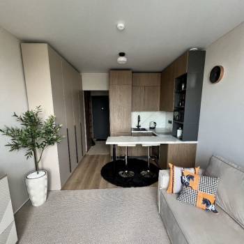 Сдается 1-комнатная квартира, 20,2 м²