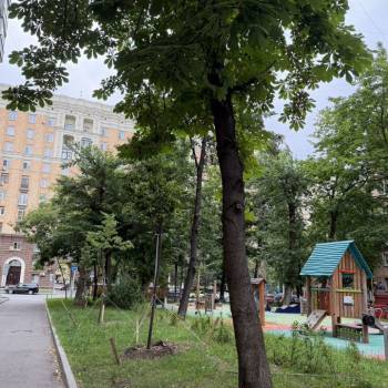 Продается 2-х комнатная квартира, 34,8 м²