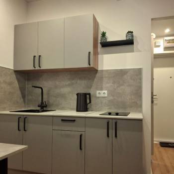Сдается 1-комнатная квартира, 19,6 м²