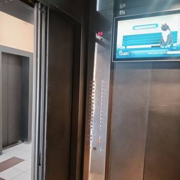 Сдается 2-х комнатная квартира, 58 м²