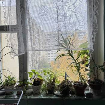 Продается 2-х комнатная квартира, 52,2 м²