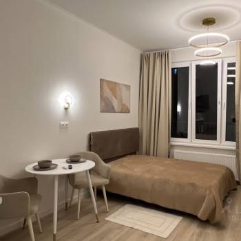 Сдается 1-комнатная квартира, 22,3 м²
